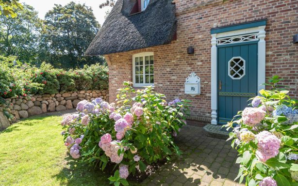 Friesentür am Reethaus und am Eingang blühen Rhododendronbüsche 