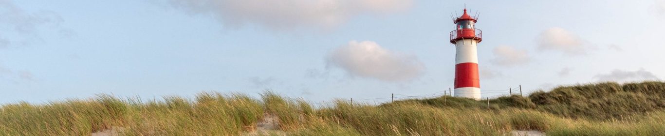 Dünengras im Abendlicht und rechts ist der rot weiß gestreifte Lister Leuchtturm zu sehen.